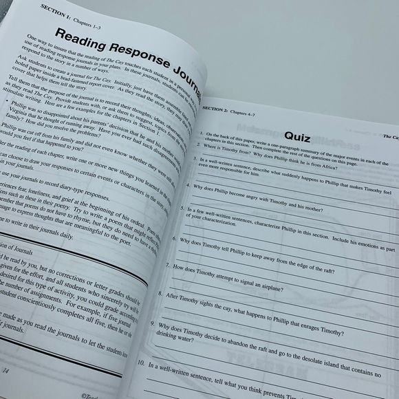 THE CAY by Theodore Taylor LITERATURE UNIT Teacher Resource Homeschool Lesson - Picture 4 of 7